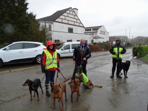 sized 1024 Lentewandeling 2015 054